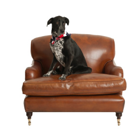 What makes our chairs special?